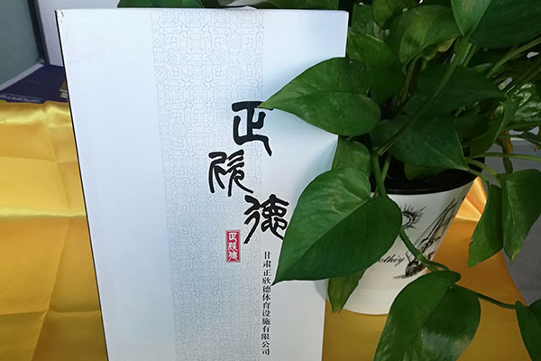 甘肃正欣德